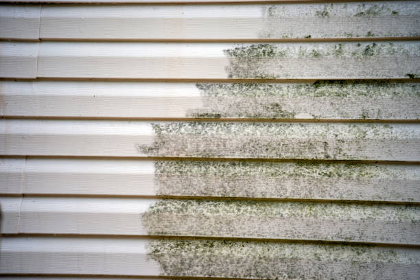 Best Mattress Disposal  in Magnolia Springs, AL
