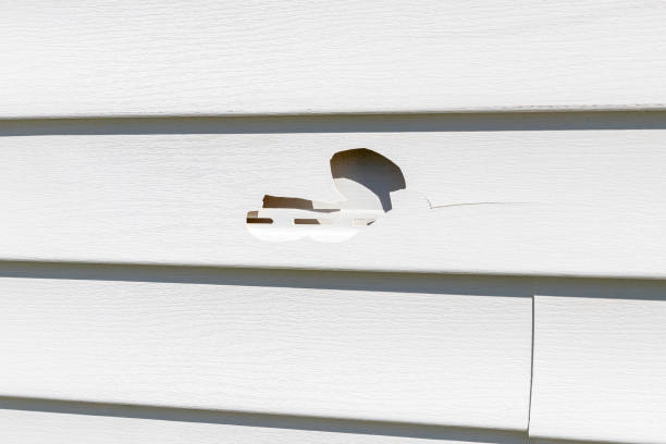 Trusted Magnolia Springs, AL Junk Removal Experts